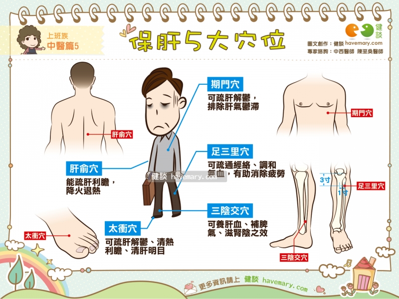 保肝5大穴位｜上班族中醫篇5 | 健談havemary.com - 圖解健康生活大小事