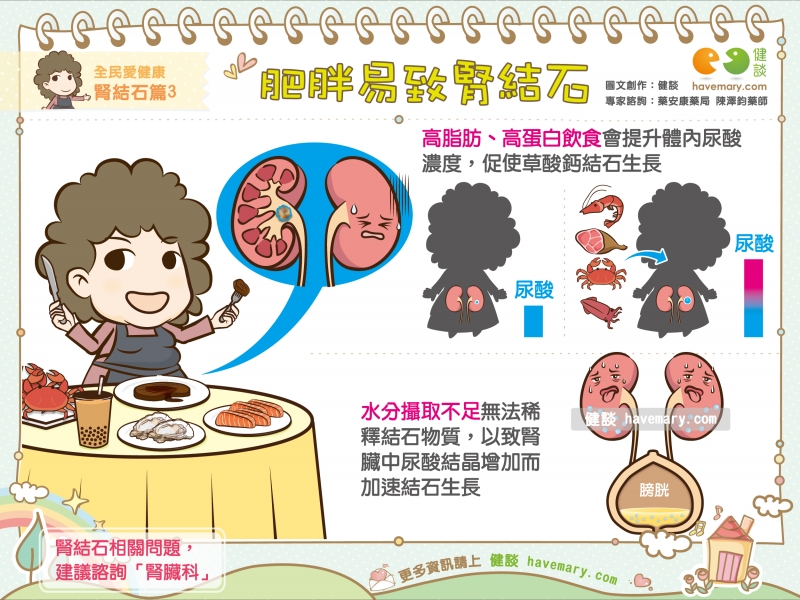 腎結石,肥胖,飲食失調,健康圖文,健康漫畫,漫漫健康,Kidney stones, obesity, eating disorders,健談,健談網,havemary