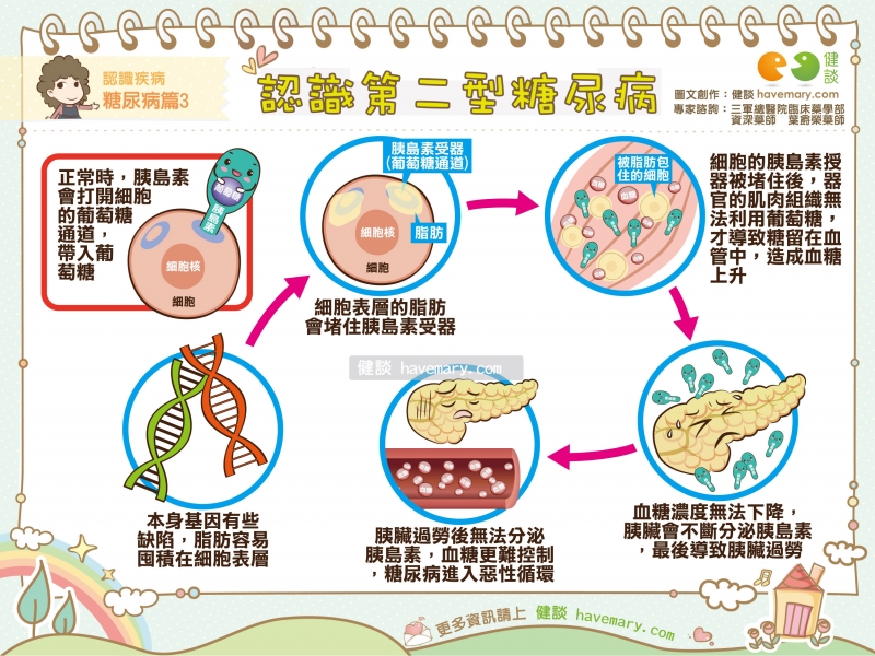 糖尿病,第二型糖尿病,糖尿病發生,糖尿病病因,糖尿病症狀,糖尿病機轉,健康漫畫 ,健談,健談網,havemary