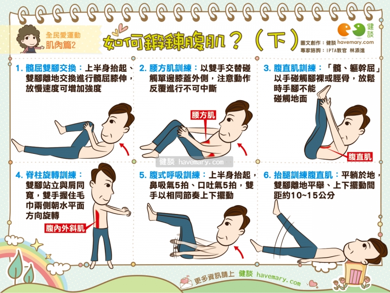 腹肌,腹肌養成,腹肌訓練,腹肌運動,核心肌群,健康圖文,健康漫畫,漫漫健康,Abdominal muscles, Abdominal exercise, Core muscles,健談,健談網,havemary