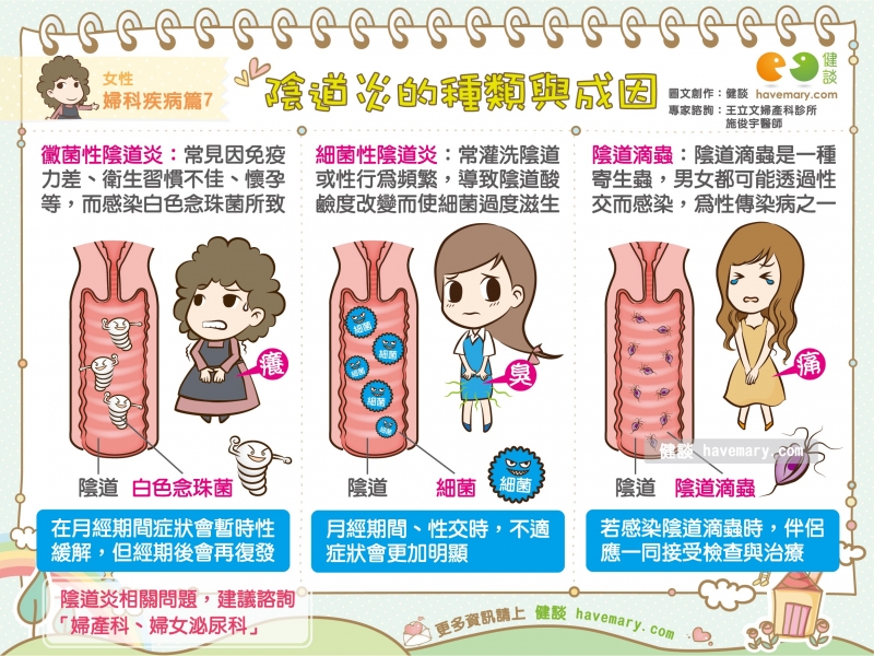 陰道炎的種類與成因 女性婦科疾病篇7 健談havemary Com 圖解健康生活大小事 陰道炎的種類與成因 女性婦科疾病篇7 健談havemary Com 圖解健康生活大小事
