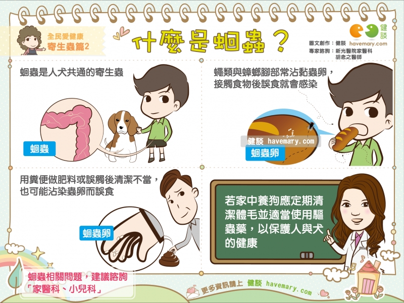蛔蟲,寄生蟲,蛔蟲感染,健康圖文,健康漫畫,漫漫健康,Ascaris, parasite, Ascaris infection,健談,健談網,havemary