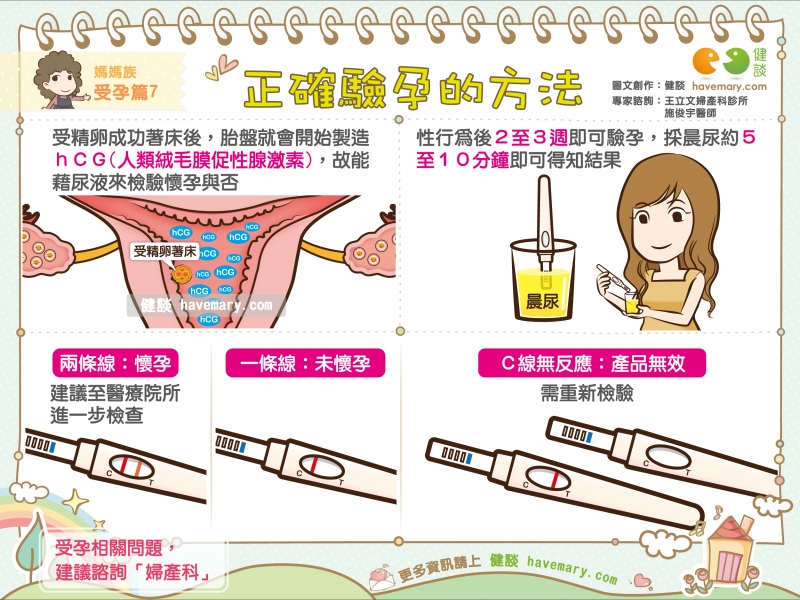 驗孕,驗孕方法,驗孕棒,健康圖文,健康漫畫,漫漫健康,Pregnancy test, pregnancy test method,健談,健談網,havemary