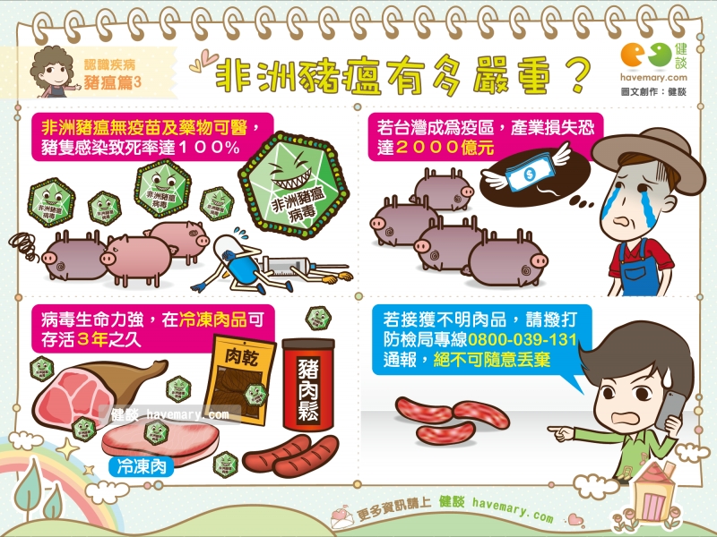 非洲豬瘟,豬瘟,豬瘟疫區,健康圖文,健康漫畫,漫漫健康,African swine fever, swine fever, swine fever epidemic Area,健談,健談網,havemary