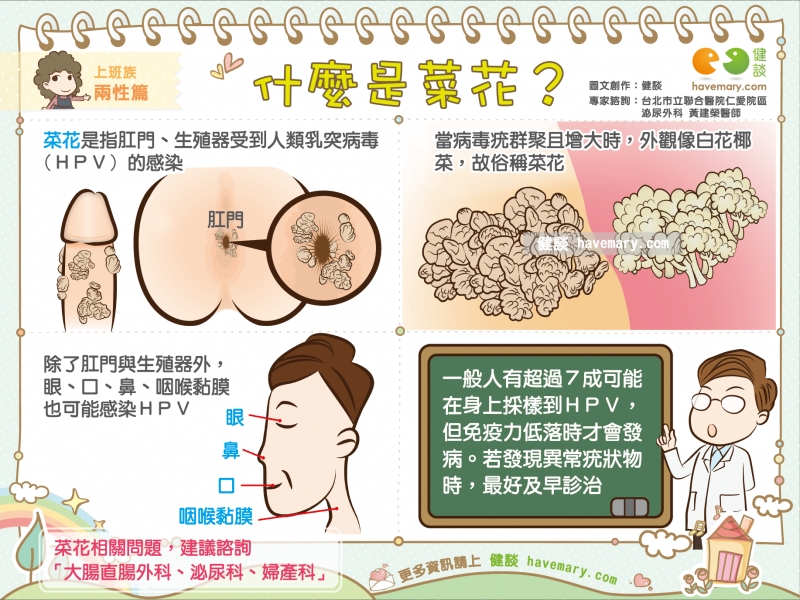 什麼是菜花 健談havemary Com 圖解健康生活大小事