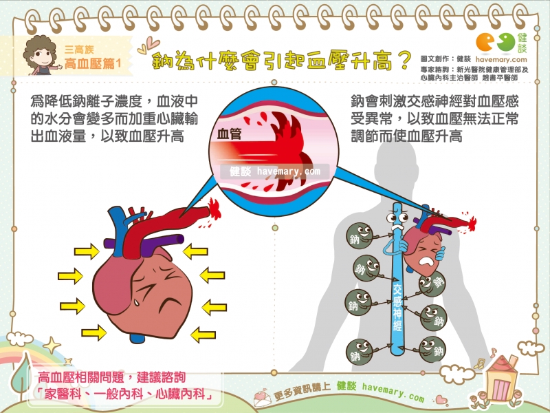 鈉為什麼會引起血壓升高 健談havemary Com 圖解健康生活大小事