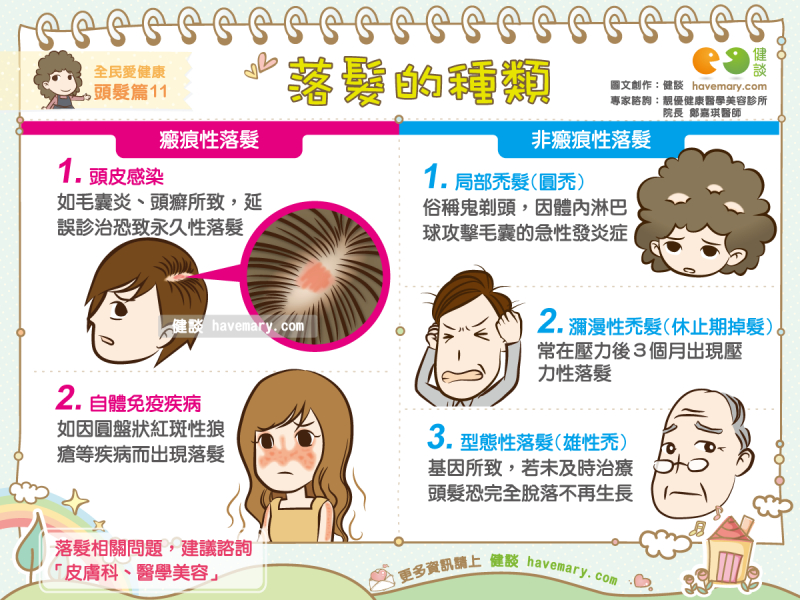 落髮的種類 全民愛健康頭髮篇11 健談havemary Com 圖解健康生活大小事 落髮的種類 全民愛健康頭髮篇11 健談havemary Com 圖解健康生活大小事