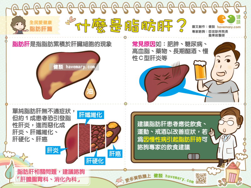 什麼是脂肪肝 健談havemary Com 圖解健康生活大小事