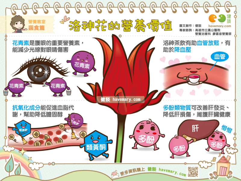 洛神花,洛神,洛神營養,健康圖文,健康漫畫,漫漫健康,圖解健康,Luoshen Flower, Luoshen, Luoshen Nutrition,健談,健談網,havemary